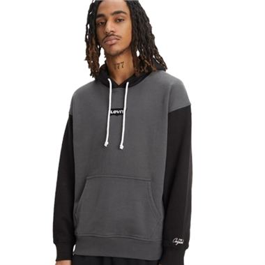 Levi's Relaxed Graphic Hoodie